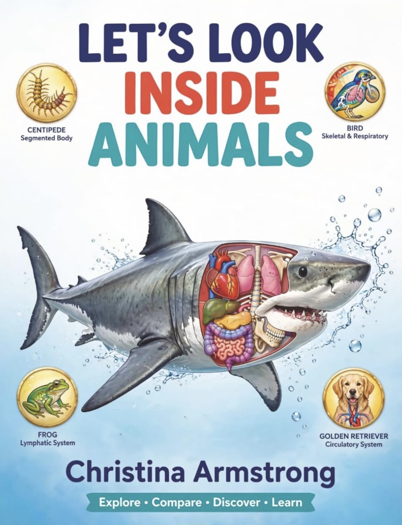 Let's Look Inside Animals cover